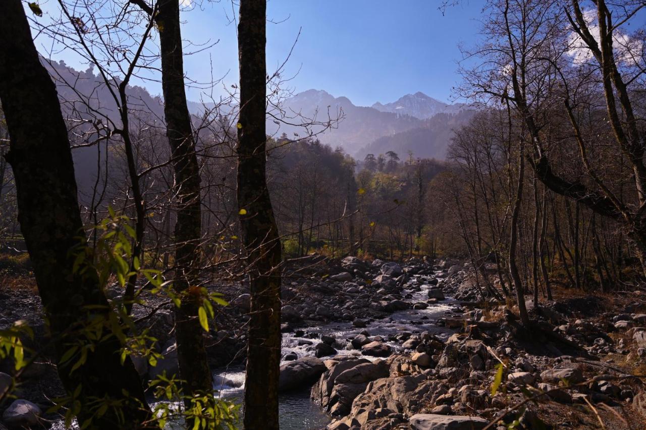 Zostel Dobhi, Manali Hostel Nagar  Bagian luar foto