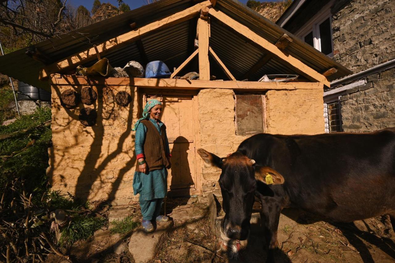Zostel Dobhi, Manali Hostel Nagar  Bagian luar foto