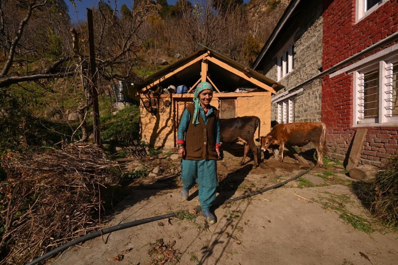 Zostel Dobhi, Manali Hostel Nagar  Bagian luar foto