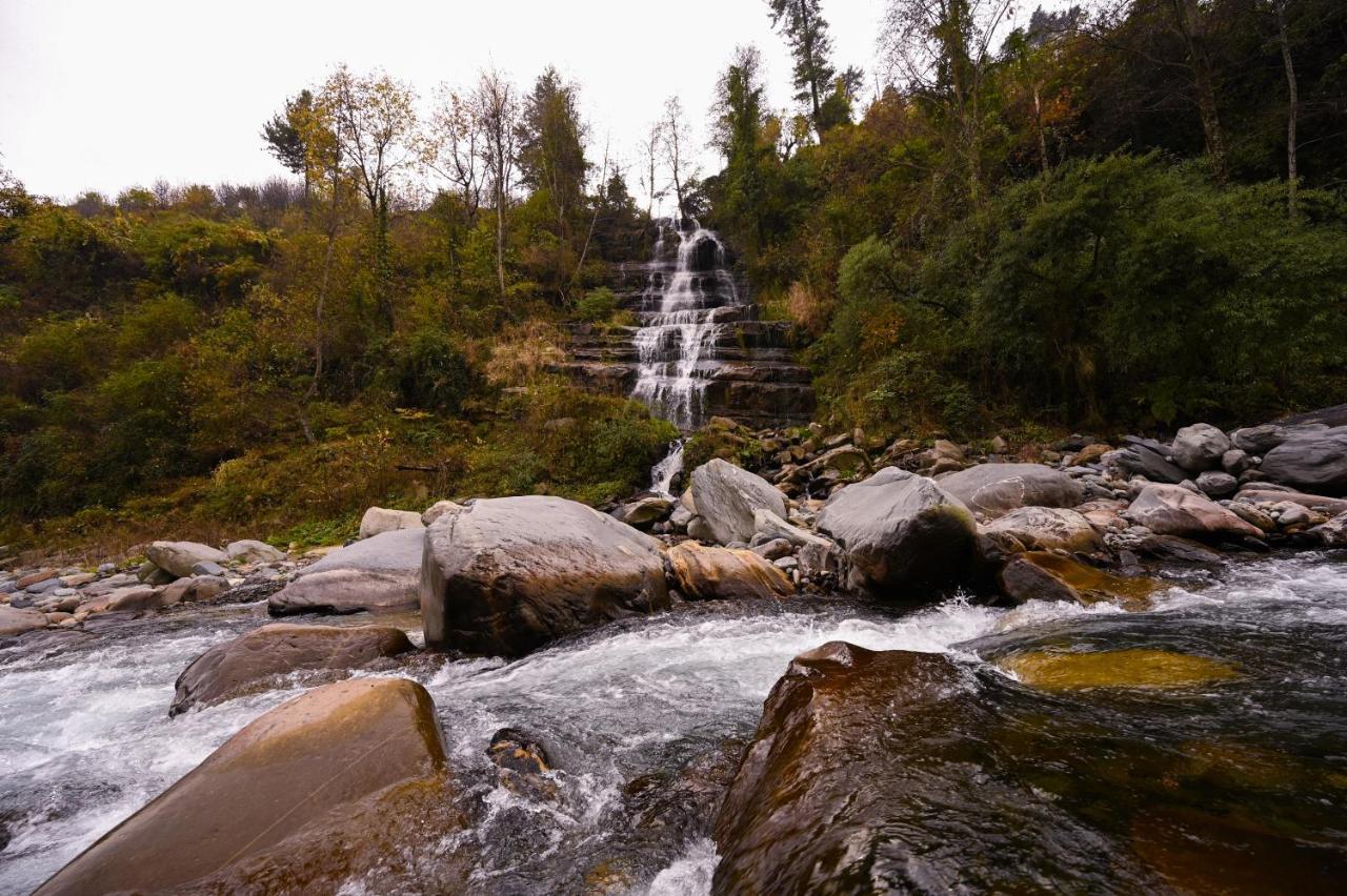 Zostel Dobhi, Manali Hostel Nagar  Bagian luar foto