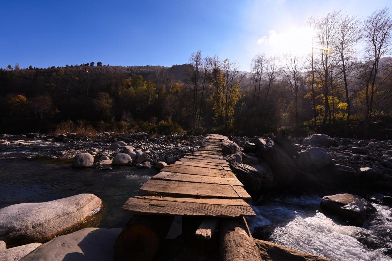 Zostel Dobhi, Manali Hostel Nagar  Bagian luar foto