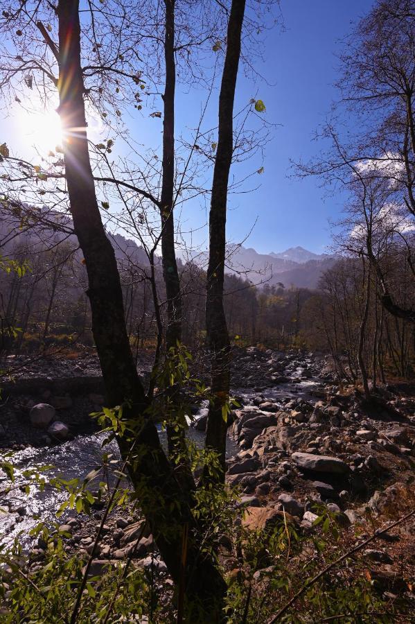 Zostel Dobhi, Manali Hostel Nagar  Bagian luar foto