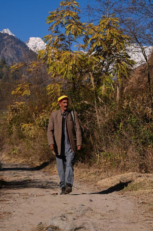 Zostel Dobhi, Manali Hostel Nagar  Bagian luar foto